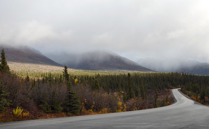 Photo of Denali Nation Park to illustrate how to add references in APA