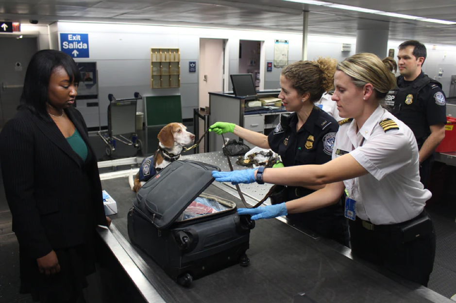 CDC image of a baggage inspection in progress, for example, on describing alt tags