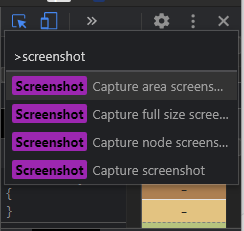 Screenshot commands Developer Tools