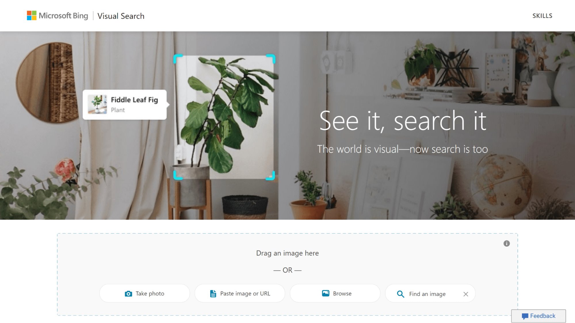 Bing visual search