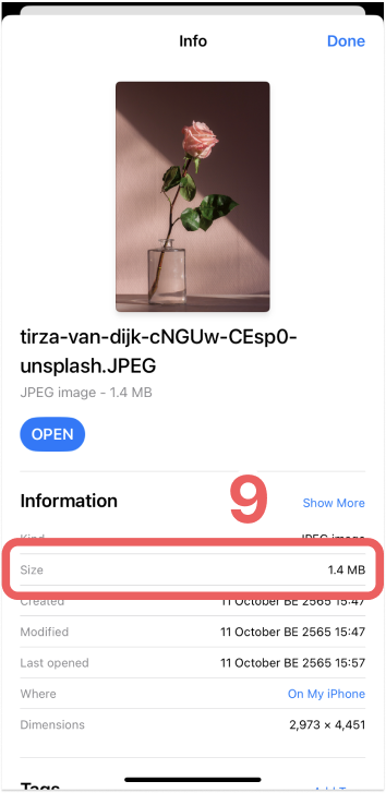 Finding a photo's file size within the Files app on iOS (9)
