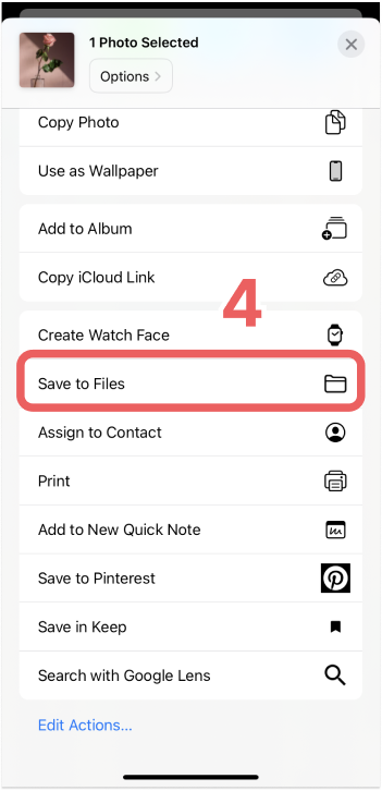 How to save a photo to the Files app on iPhone (4)