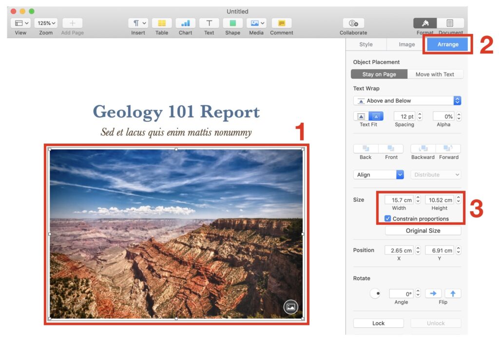 how to resize an image in Pages app on Mac