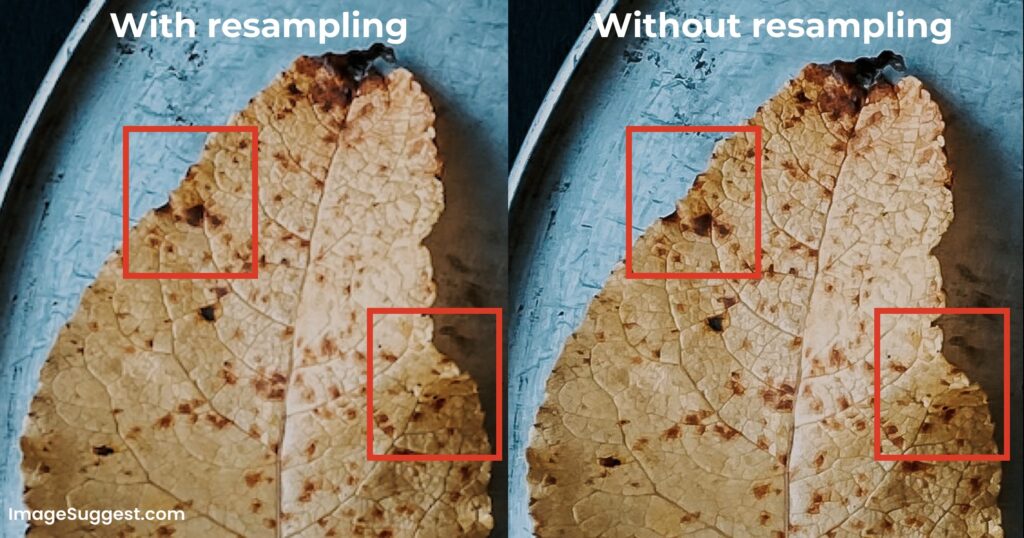 How resampling affects image quality on the Preview app on Mac