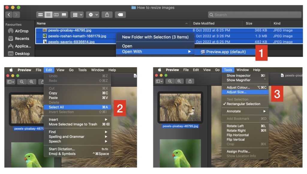 how to resize several images at the same time on a Mac with Preview