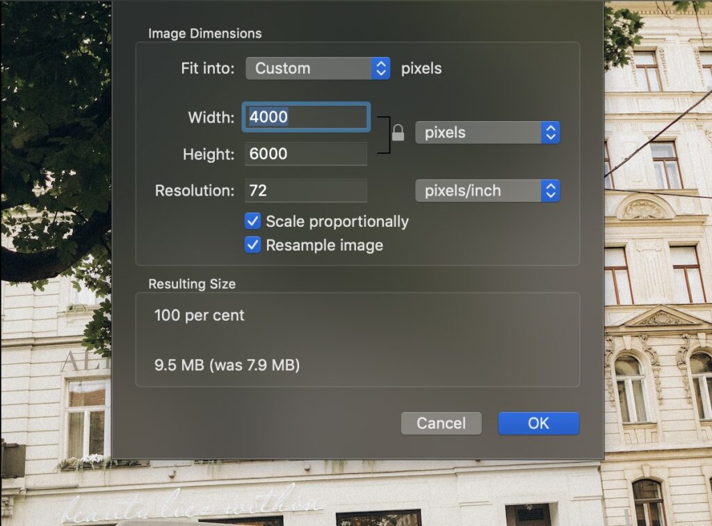 resizing an image on Mac using Preview