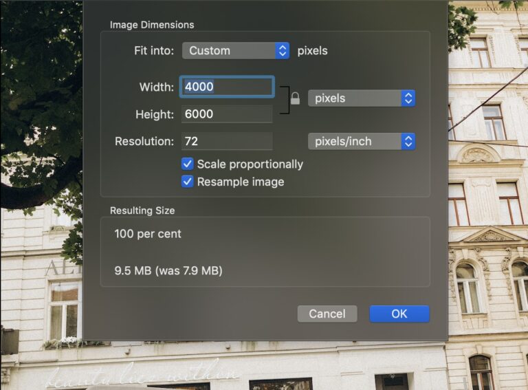 How to Resize an Image on Mac a StepbyStep Guide