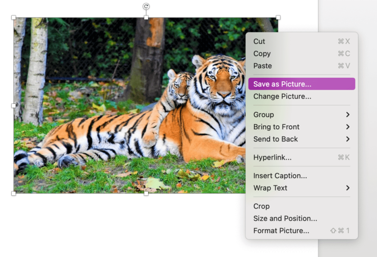 10 Ways To Save Images From Google Docs On Desktop And Mobile