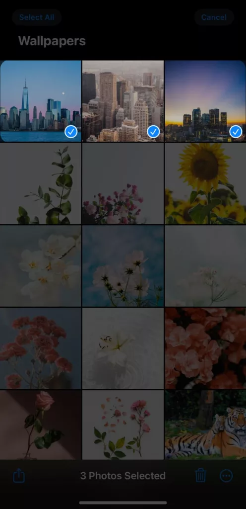 Select one or multiple photos from Photos App